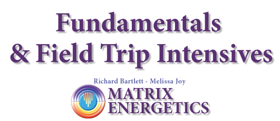 logo-matrix-energetics-scritta-singolo-evento